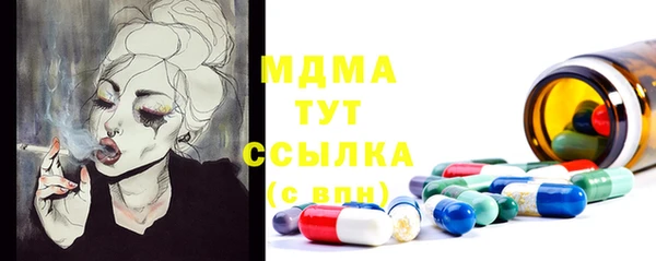 PSILOCYBIN Бородино