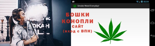 PSILOCYBIN Бородино