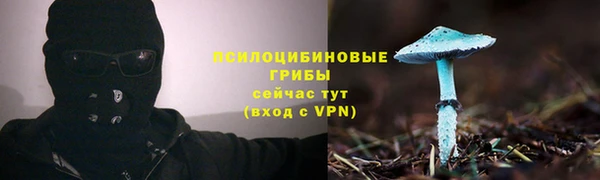 spice Бугульма