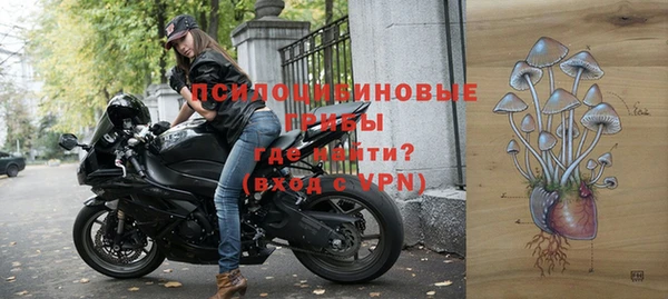 spice Бугульма