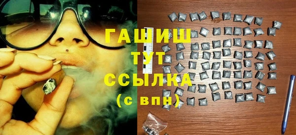 спиды Пересвет