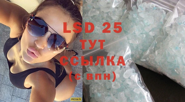 PSILOCYBIN Бородино