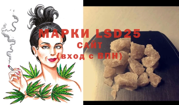 PSILOCYBIN Бородино