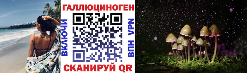 Псилоцибиновые грибы прущие грибы  darknet телеграм  Йошкар-Ола  купить наркотики сайты 