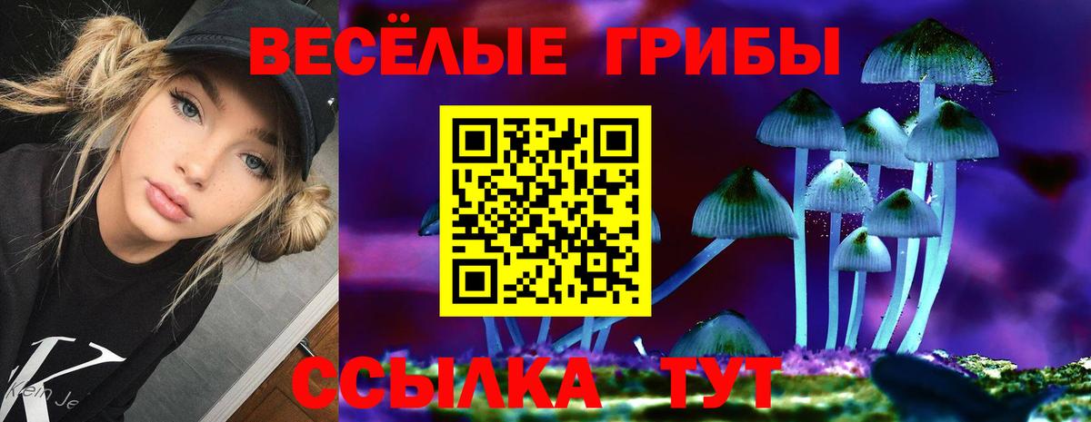 где купить наркотик  Псилоцибиновые грибы Cubensis  Йошкар-Ола  Вход с VPN  Псилоцибиновые грибы Cubensis 